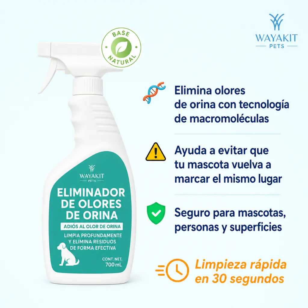 olor.webp