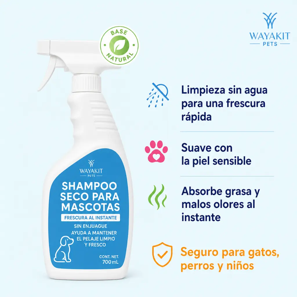 shapoo.webp